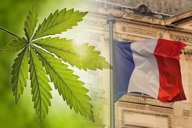 Current Cannabis Research in Paris