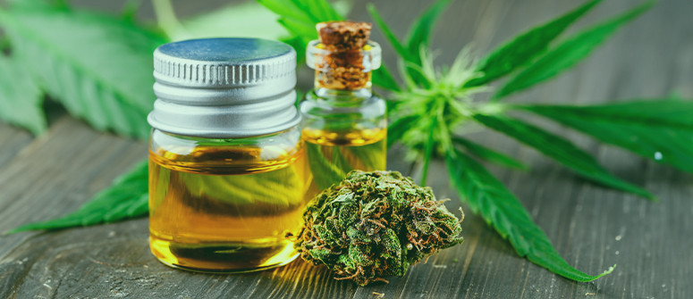 buy weed in france, buy weed online in france, weed in france